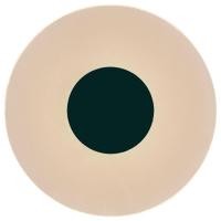 Настенный светодиодный светильник Mantra Venus 8013