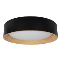 Потолочный светодиодный светильник Loft IT Coin 10202 Black