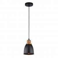 Подвесной светильник Arte Lamp Eurica A4248SP-1BK