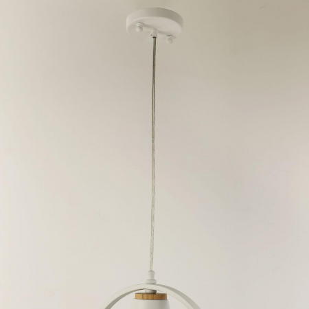 Подвесной светильник F-Promo Uccello 2939-1P