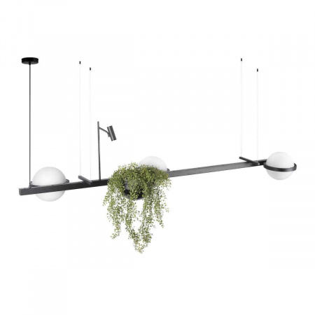 Подвесной светильник LOFT IT Jardin 10121/C