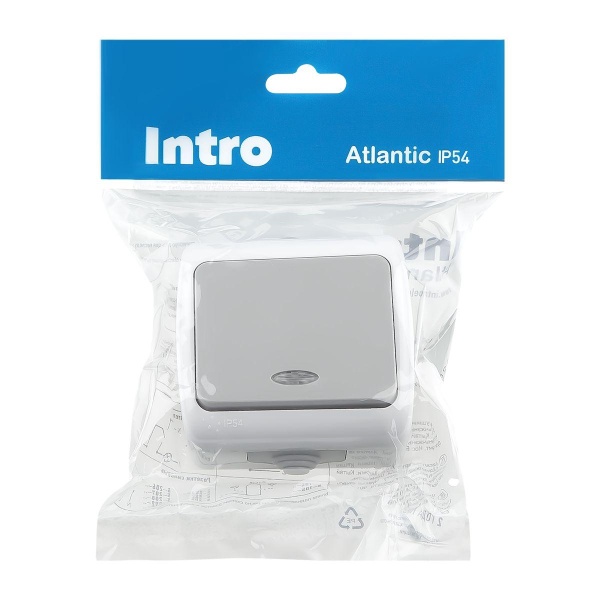 Выключатель одноклавишный ЭРА Intro Atlantic 10AX 250V с подсветкой 5-102-03 Б0050941