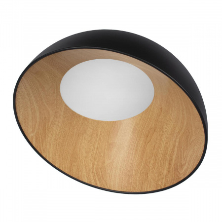 Потолочный светодиодный светильник Loft IT Egg 10197/500 Black