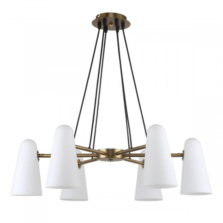 Подвесная люстра Favourite Vision 2763-6P