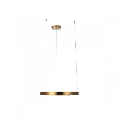 Подвесной светодиодный светильник Loft IT Ring 10013M