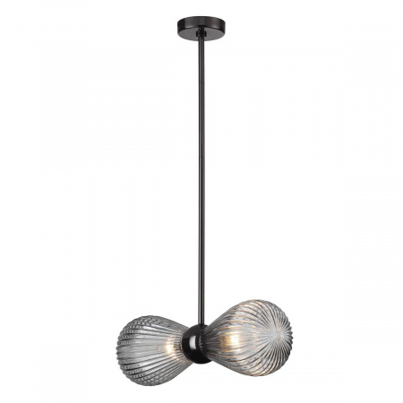 Подвесная люстра Odeon Light Exclusive Elica 5417/2