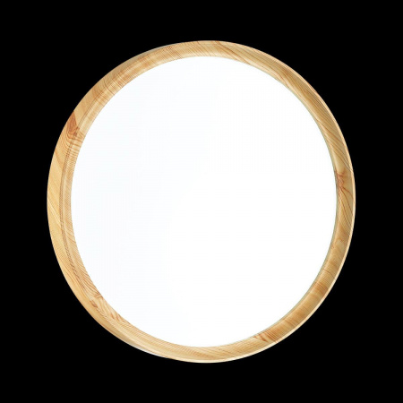 Настенно-потолочный светильник Sonex Tan Woodi 3019/DL