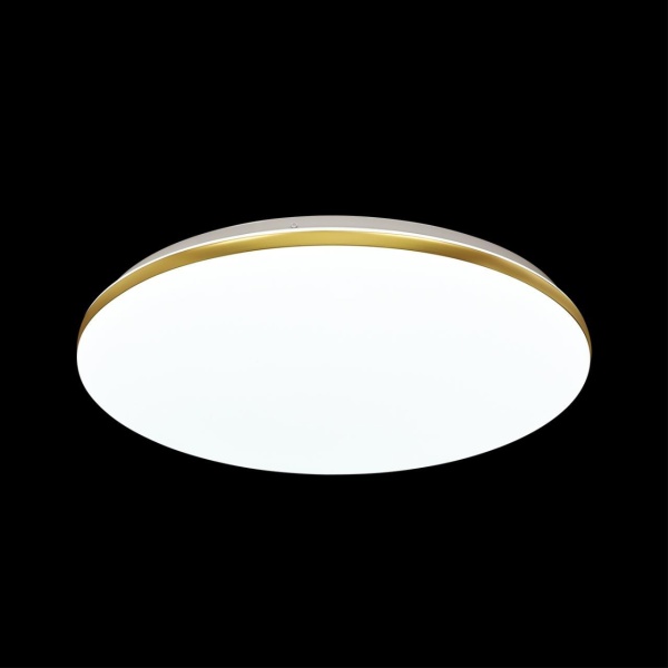 Настенно-потолочный светодиодный светильник Sonex Tan Lassa 3043/EL