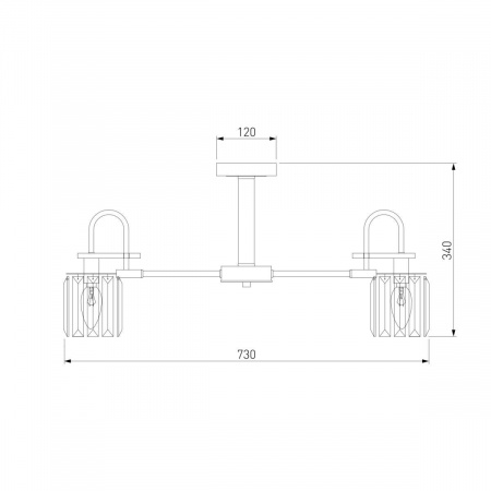 Потолочная люстра Eurosvet Tenia 70090/8 черный