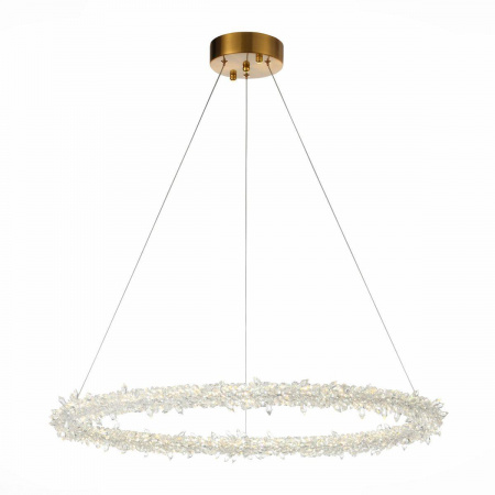 Подвесной светодиодный светильник ST Luce Lucchero SL6105.213.01