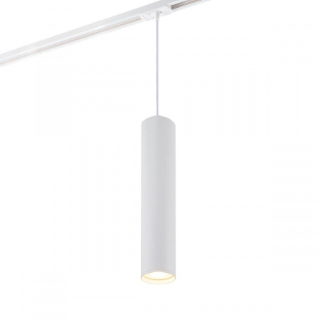 Трековый светильник Denkirs DK6210-WH