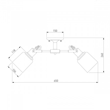 Потолочная люстра Eurosvet Astor 70111/5 черный