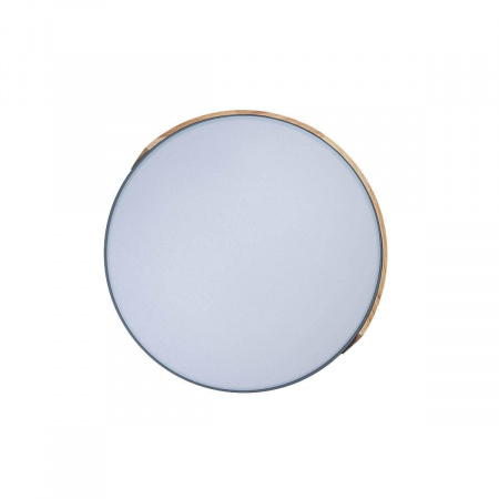 Потолочный светодиодный светильник Loft IT Axel 10004/36 grey