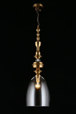 Подвесной светильник Aployt Rena APL.602.16.01