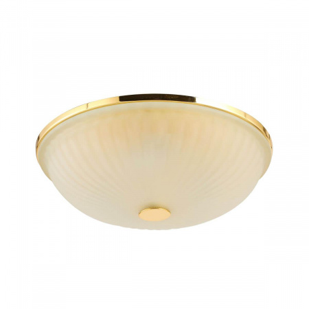 Потолочный светильник F-Promo Costa 2752-3C