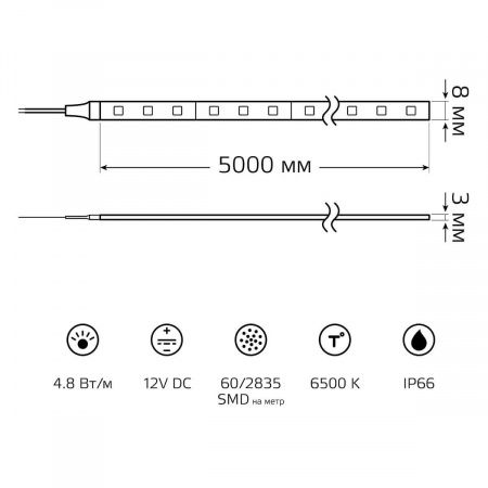 Светодиодная влагозащищенная лента Gauss 4,8W/m 60LED/m 2835SMD холодный белый 5M 356000305 Алматы