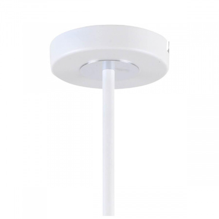 Потолочная люстра F-Promo Viator 2559-5P