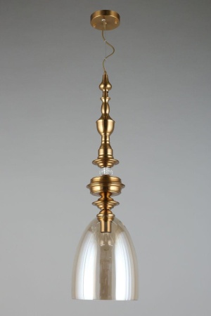 Подвесной светильник Aployt Rena APL.602.06.01