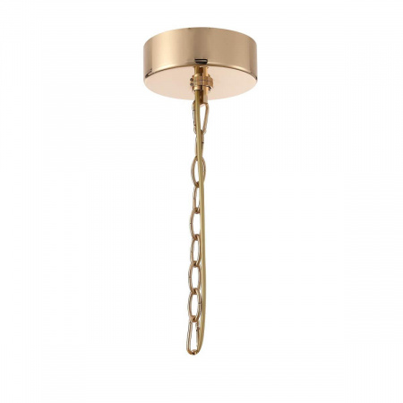 Подвесная люстра Favourite Ignis 2882-19P