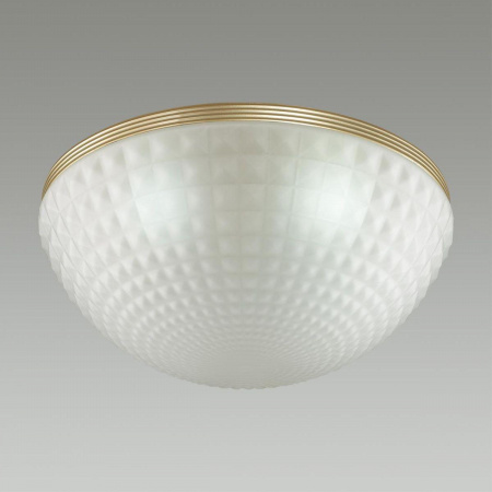 Потолочный светильник Odeon Light Modern Malaga 4936/4C