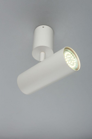 Светодиодный спот Aployt Berenis APL.007.02.01 Алматы Светодиодный спот Aployt Berenis APL.007.02.01