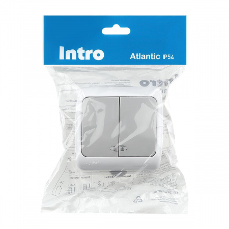Выключатель двухклавишный ЭРА Intro Atlantic 10AX 250V с подсветкой 5-105-03 Б0050944
