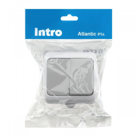 Выключатель двухклавишный ЭРА Intro Atlantic 10AX 250V 5-104-03 Б0050943