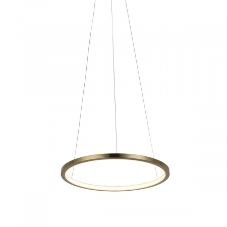 Подвесной светодиодный светильник Loft IT Ring 10014S