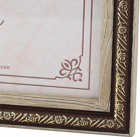 Фоторамка FA пластик Нива ольха 15х21 (30/630) Б0039931