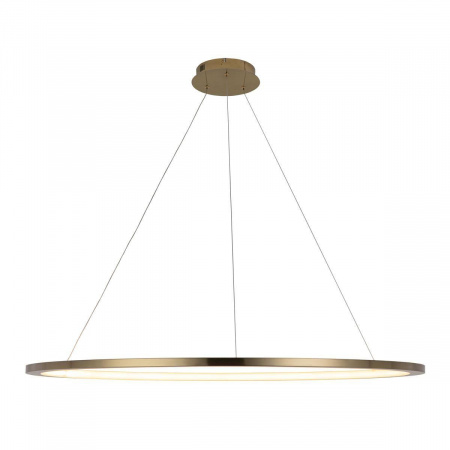 Подвесной светодиодный светильник Loft IT Ring 10014XXL