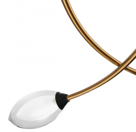 Подвесная люстра Indigo Fiore 13001/4P Black V000141