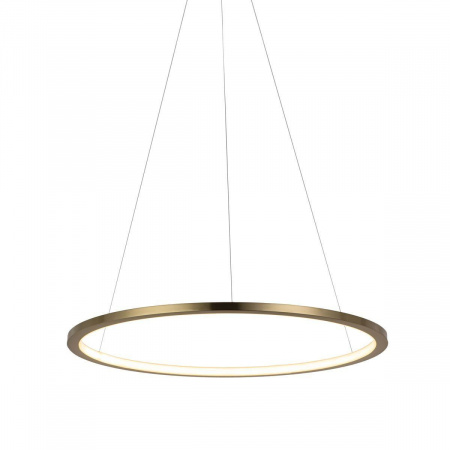Подвесной светодиодный светильник Loft IT Ring 10014M