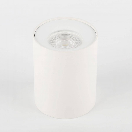 Потолочный светильник ЭРА OL1 GU10 WH Б0041503