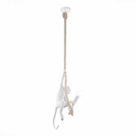 Подвесной светильник Evoluce Tenato SLE115103-01