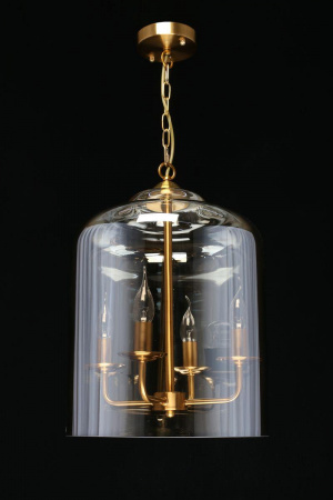 Подвесная люстра Aployt Polin APL.603.06.06