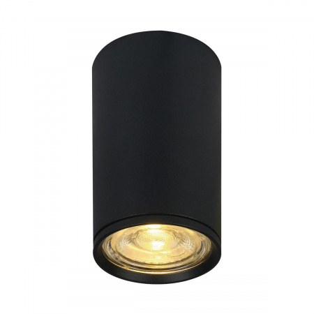 Потолочный светильник Escada 20001SMU/01 SBK