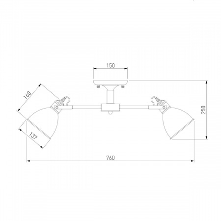 Потолочная люстра Eurosvet Denley 70112/8 черный