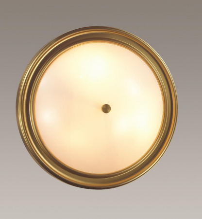 Настенно-потолочный светильник Lumion Vintage Nina 5259/3C