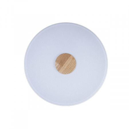 Потолочный светодиодный светильник Loft IT Axel 10003/24 white