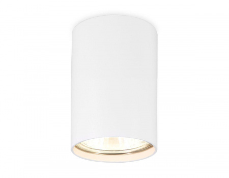 Потолочный светильник Ambrella light Techno Spot TN213101