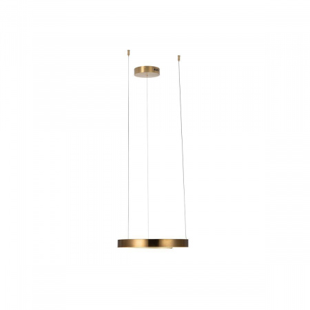 Подвесной светодиодный светильник Loft IT Ring 10013S