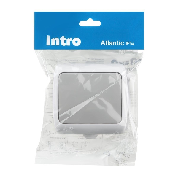 Выключатель одноклавишный ЭРА Intro Atlantic 10AX 250V 5-101-03 Б0050940