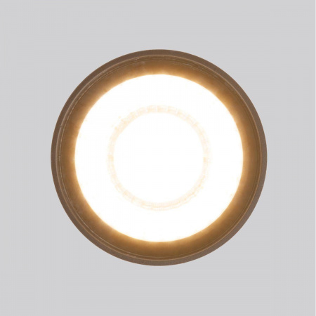 Уличный светодиодный светильник Elektrostandard Light Led 35132/H черный a056231