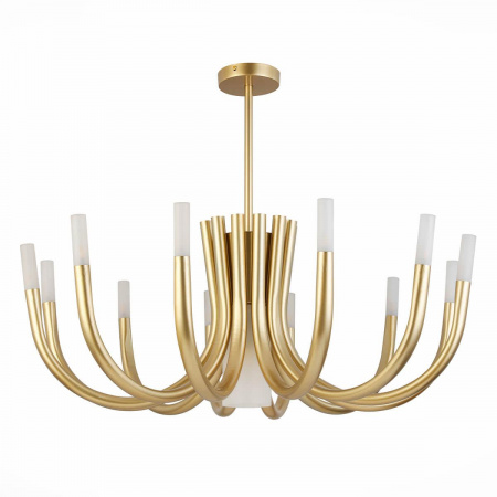 Потолочная люстра ST Luce Pafe SL1173.202.13