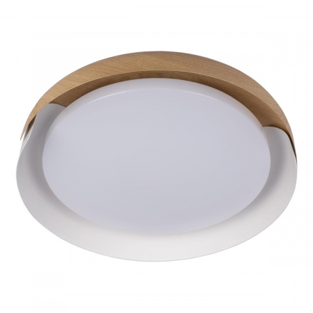 Потолочный светодиодный светильник Loft IT Coin 10198 White