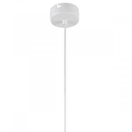 Подвесной светильник Favourite Aenigma 2557-1P