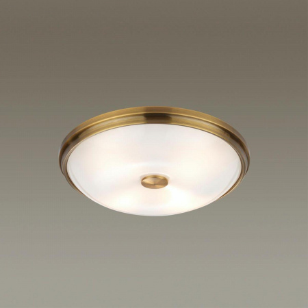 Потолочный светильник Odeon Light Walli Pelow 4956/4