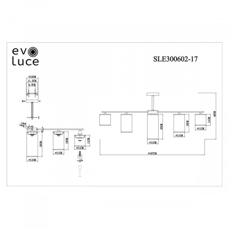 Потолочная люстра Evoluce Essenza SLE300602-17