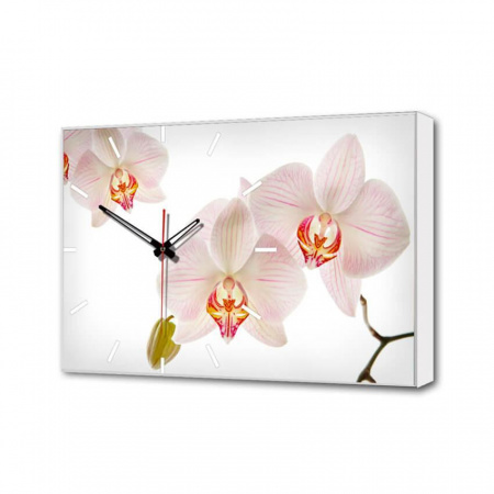 Настенные часы Белые Орхидеи Timebox Toplight 37х60х4см TL-C5019