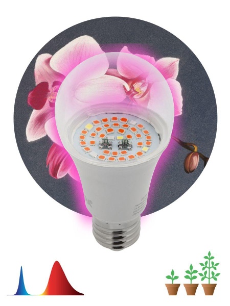Лампа светодиодная для растений ЭРА E27 14W 1310K прозрачная Fito-14W-RB-E27 Б0050602